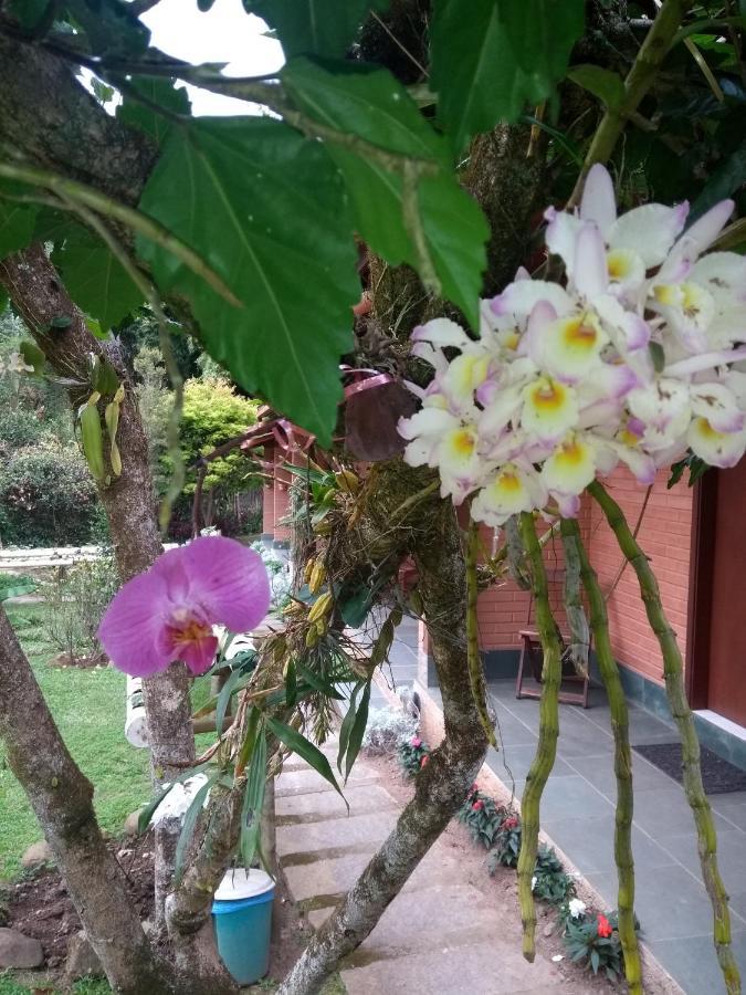 Inn Canteiros De Sao Pedro Da Serra-nova Friburgo Sao Pedro da Serra (Rio de Janeiro)